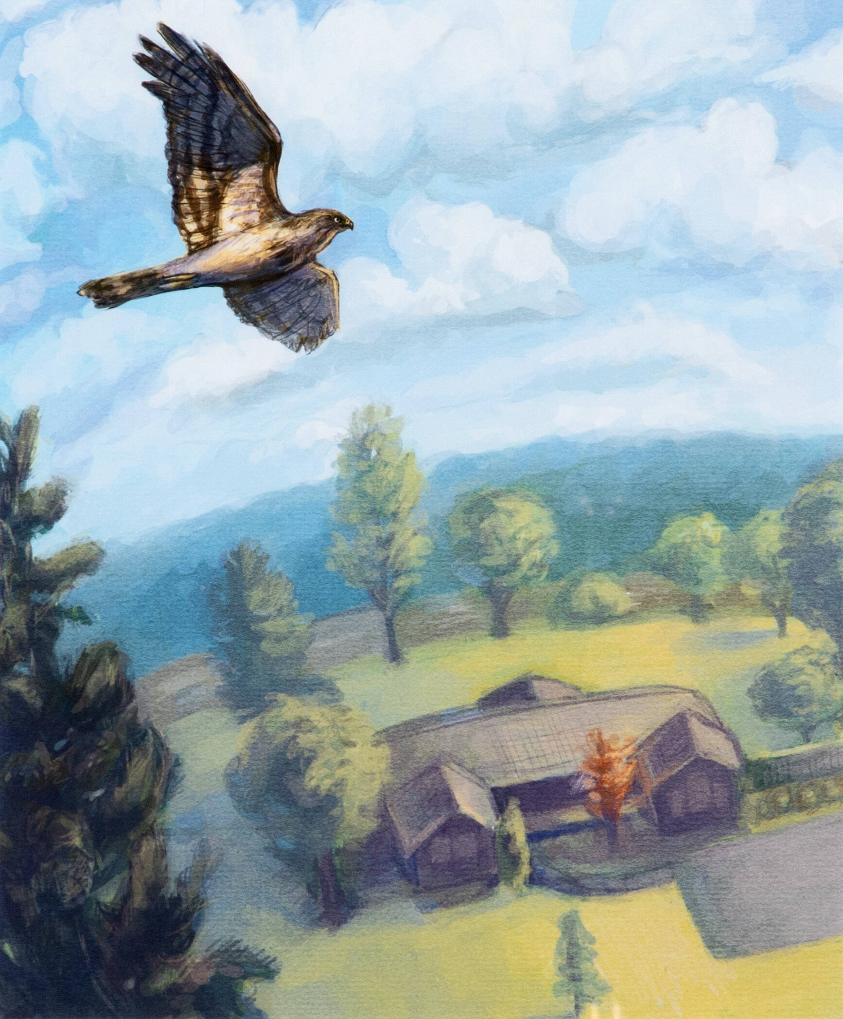Digital image of a large bird flying over a house surrounded by trees.